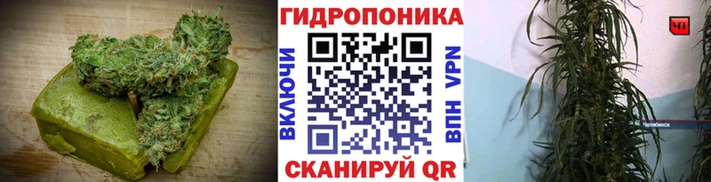 Купить закладки Еманжелинск Canna-Cookies конопля