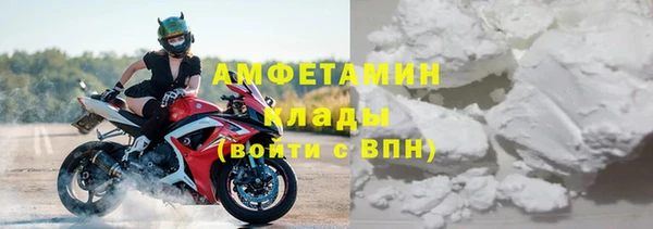 гашик Карпинск