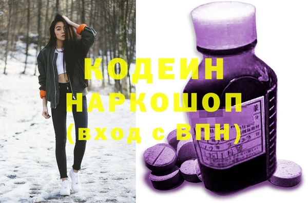 гашик Карпинск