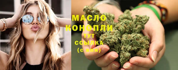 гашик Карпинск